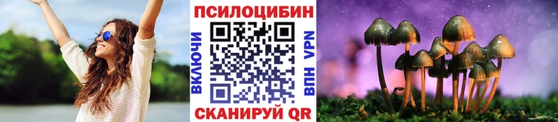 ОМГ ОМГ ONION  Шуя  Псилоцибиновые грибы MAGIC MUSHROOMS  купить наркотик 